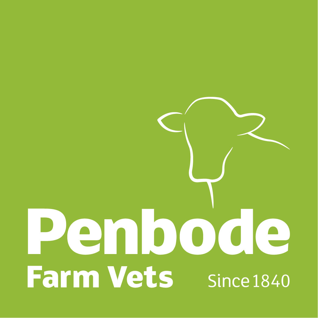 Competitions kindly sponsored by Penbode Vets
