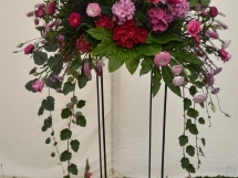 Holsworthy and Stratton Show Flower show marquee