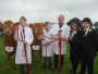 Holsworthy and Stratton Show Cattle and Sheep